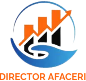 Director Afaceri