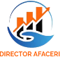Director Afaceri